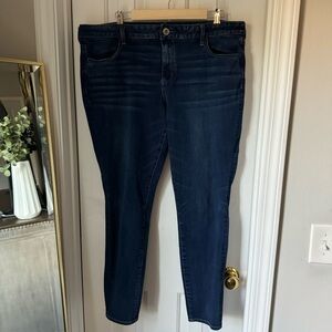 American Eagle Jean | Size 20 Long | Jeggings